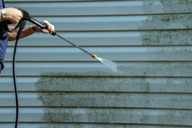 Best Building Exterior Washing  in Nocatee, FL